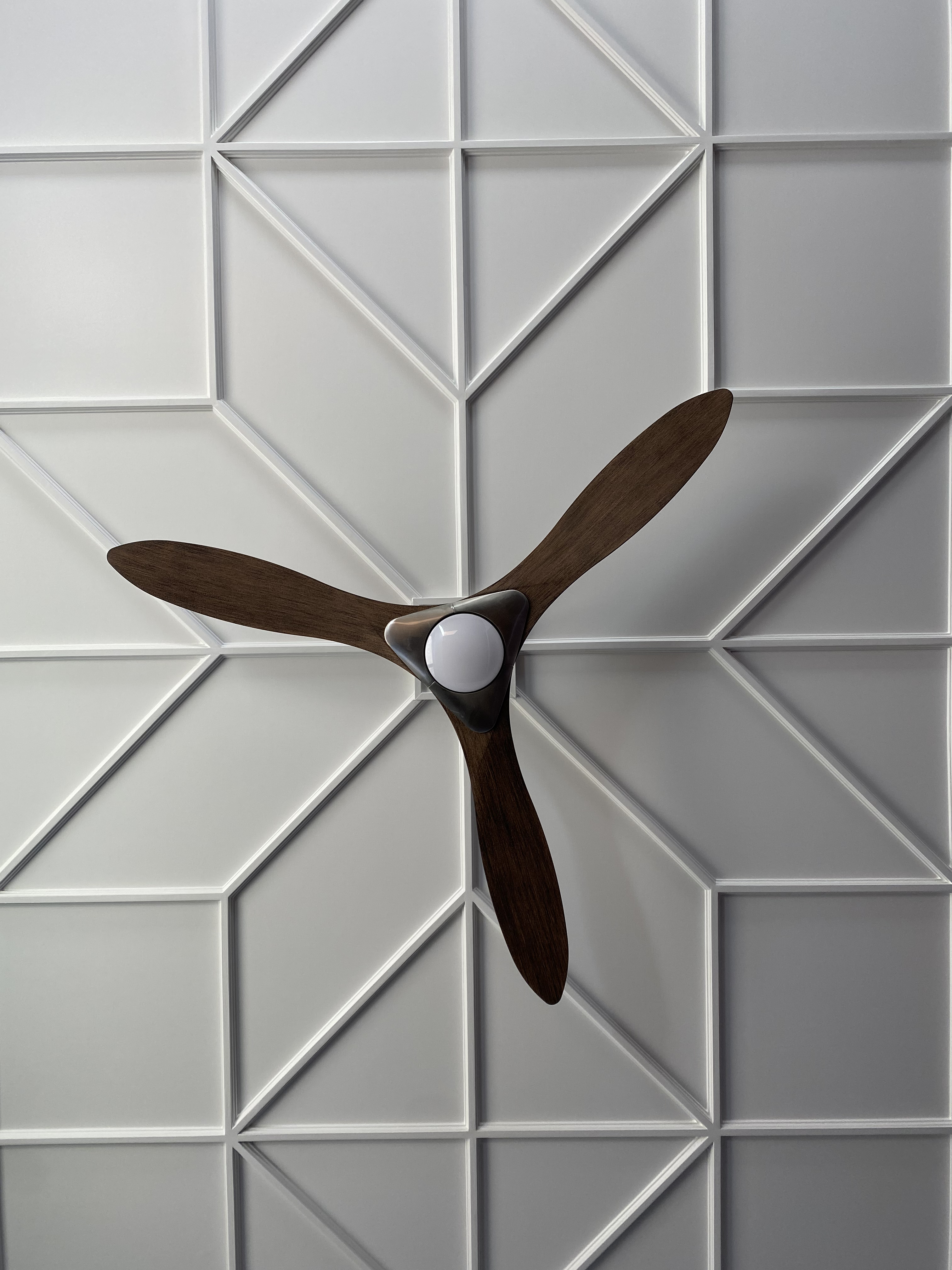 Ceiling • 1